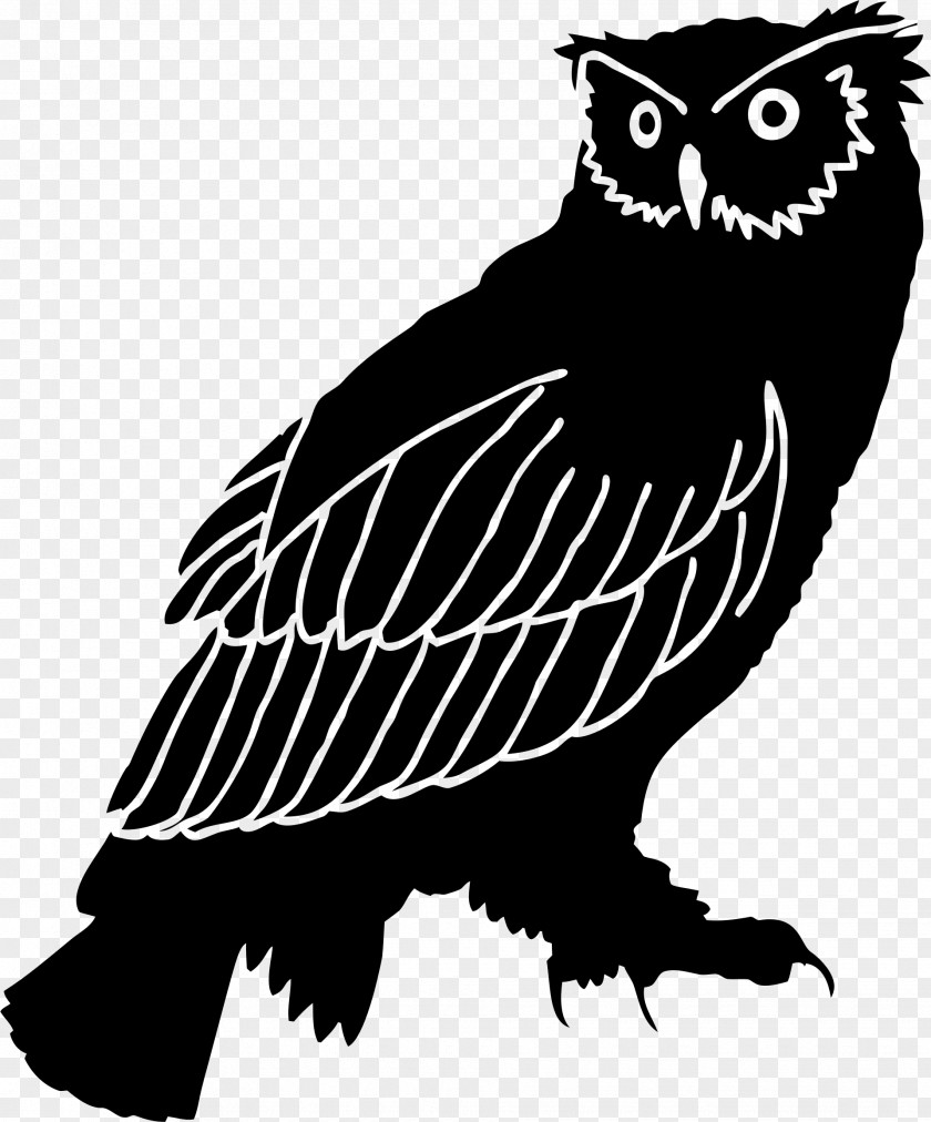 Owls Owl Silhouette Clip Art PNG
