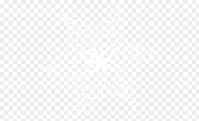 Snowflakes Business Email Logo Information Organization PNG