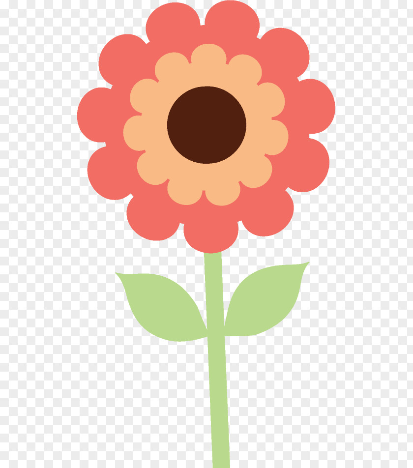 Wildflower Gerbera Flowers Background PNG