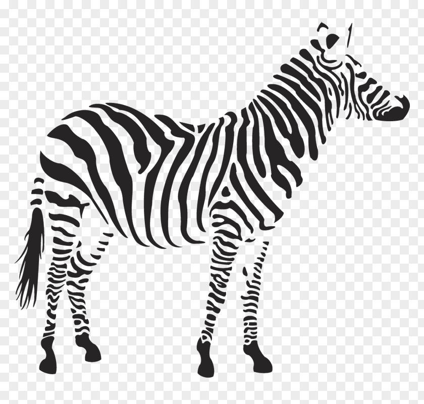 Zebra Image Clip Art PNG
