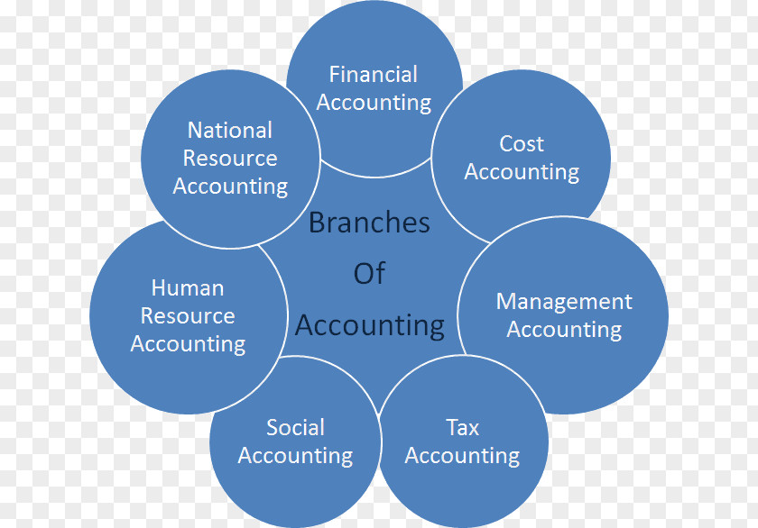 Accountancy And Business Management Managerial Cost Accounting Accountant Partnership PNG