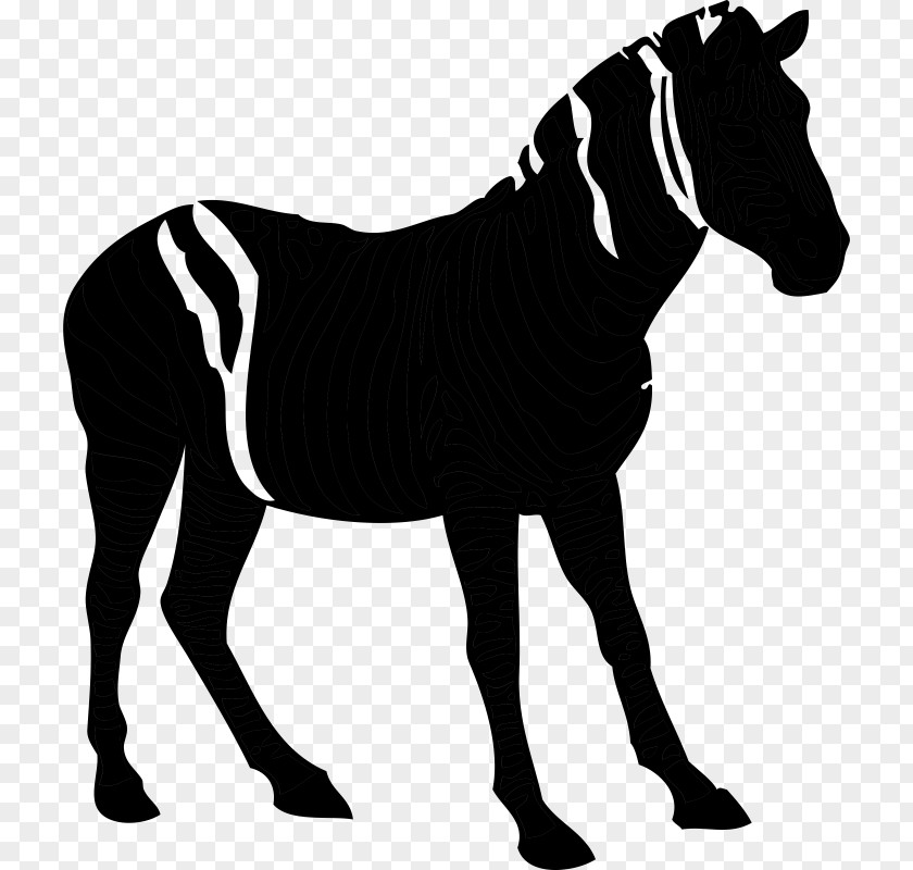 American Quarter Horse Silhouette Clip Art Image Pony PNG