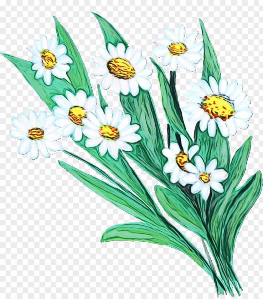 Clip Art Illustration Narcissus Herbaceous Plant Stem PNG