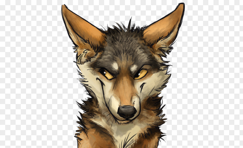 Dog Coyote Sticker Red Wolf Black PNG