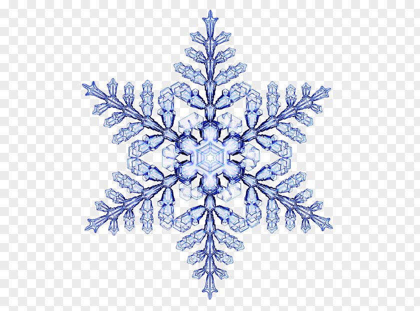 Euclidean Vector Pattern Snowflake Physicist Desktop Wallpaper PNG