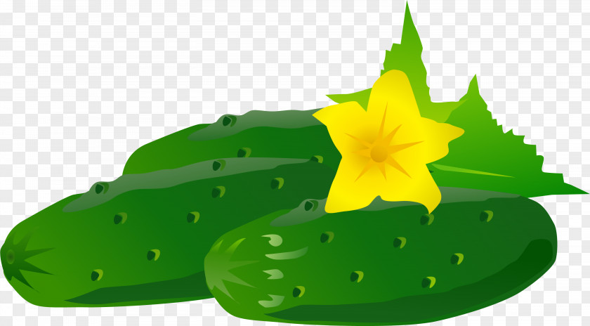 Hand Painted Green Cucumber Flowers Fruit PNG