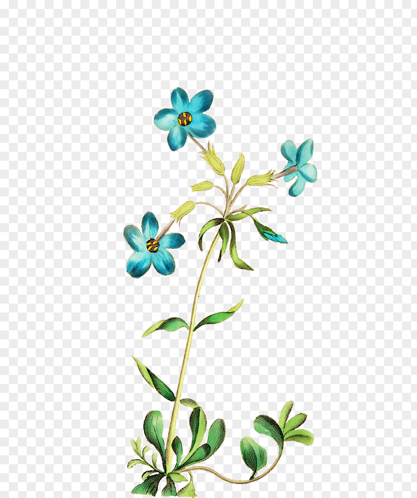 Exquisite Blue Flowers Cut Floral Design Clip Art PNG