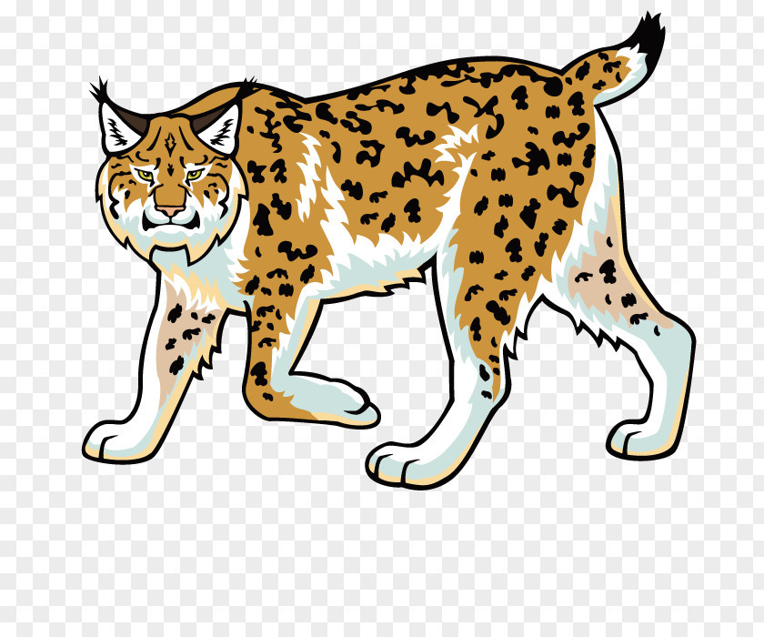 Hand-painted Leopard Eurasian Lynx Bobcat Wildcat Felidae Clip Art PNG