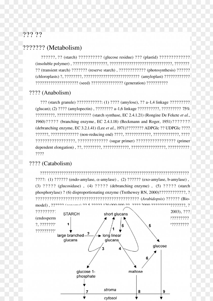 Line Document Angle PNG