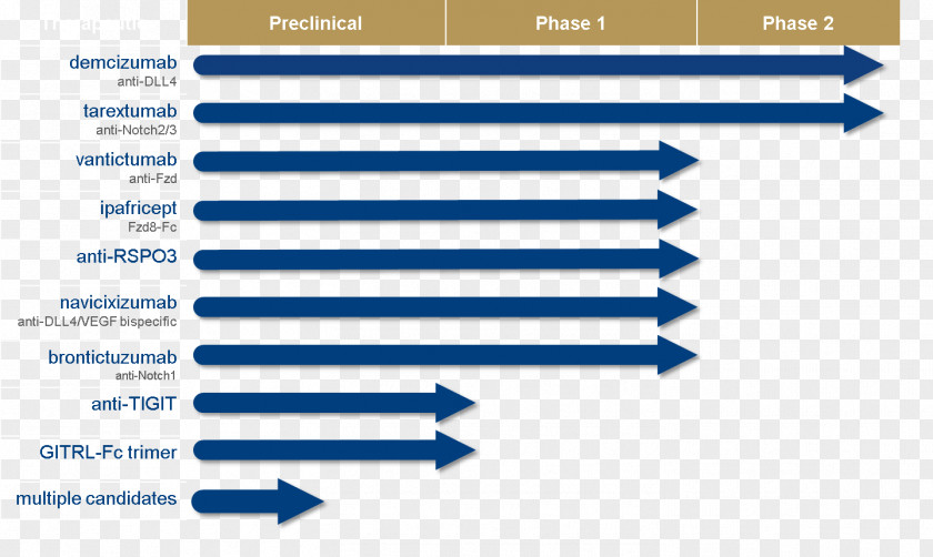 Line Document Web Analytics Organization Angle PNG