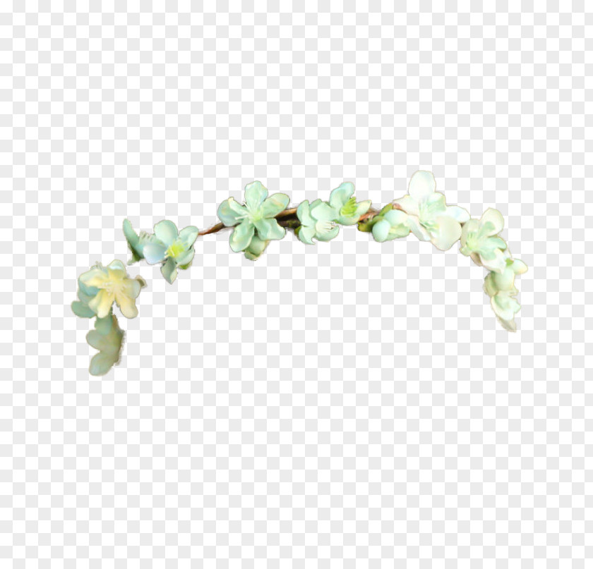 Tumblr Transparent Flower Crown Image Wreath Garland Headband PNG