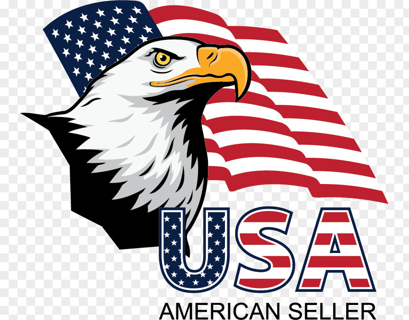 United States Bald Eagle Logo PNG