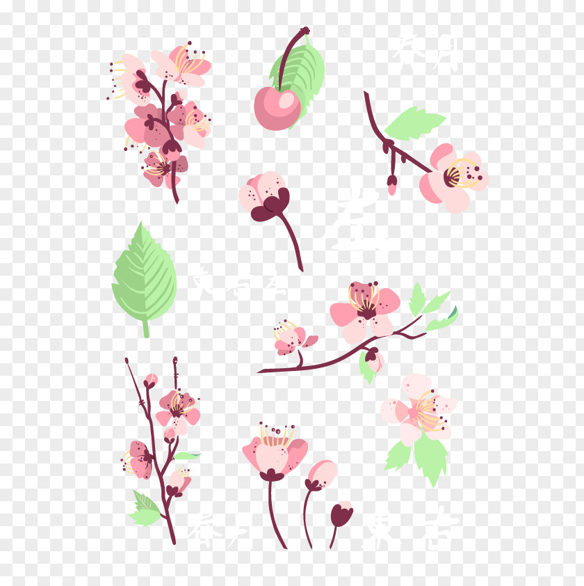 Cartoon Painted Pink Cherry Blossoms Floral Design Petal Flower Pattern PNG