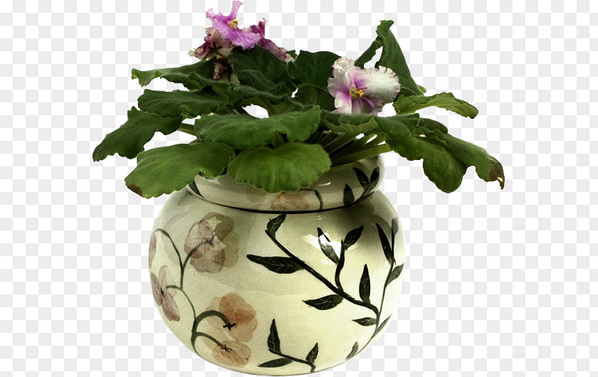 Ceramic Vase Flower Purple PNG