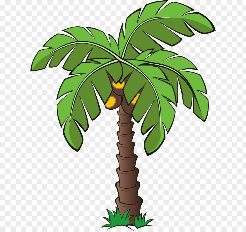 Date Palm Arecaceae Tree Clip Art PNG