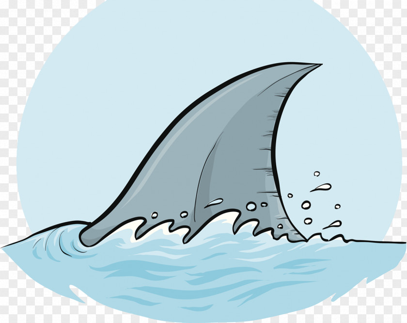 Shark Haunt Dorsal Fin Cartoon Clip Art PNG