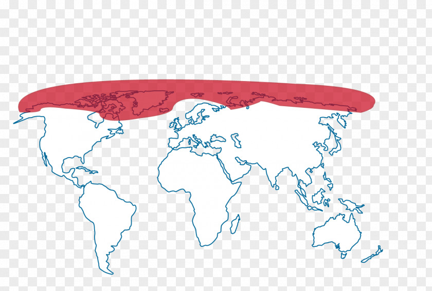 Bear Hat World Map Globe Blank PNG
