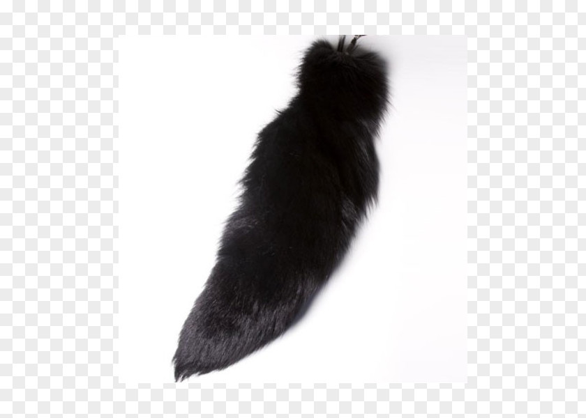 Fur Tail Black M PNG
