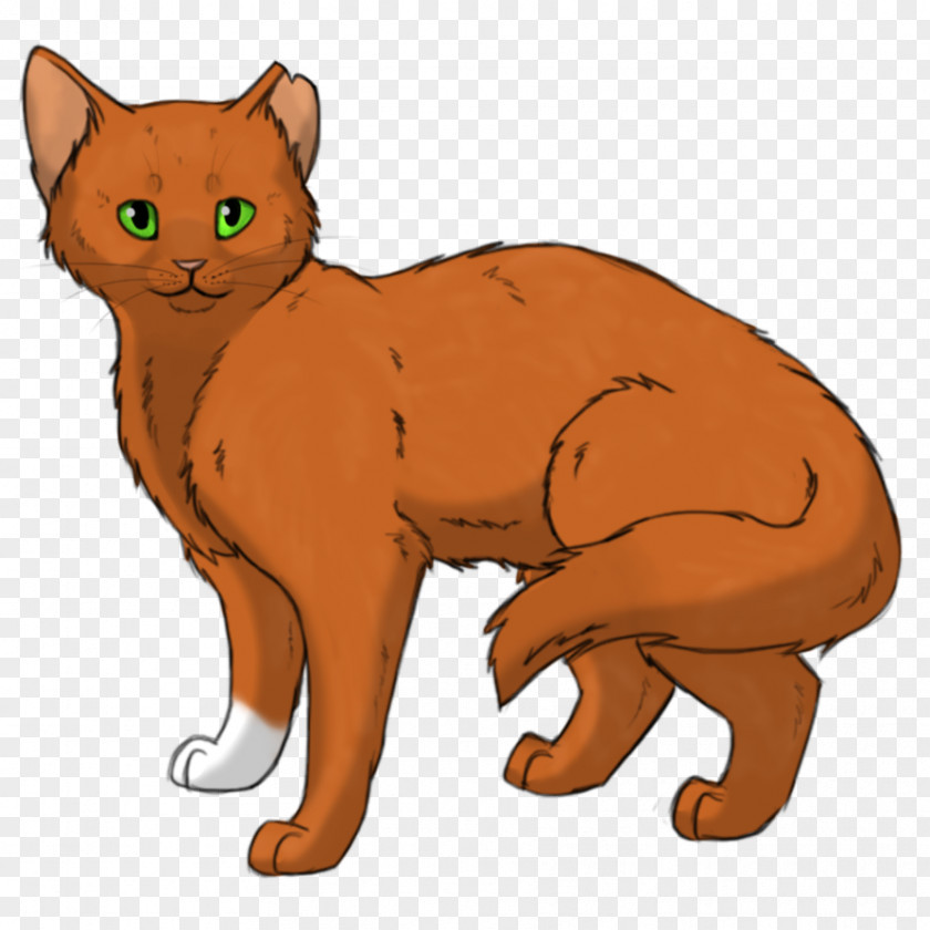 Kitten Whiskers Manx Cat Domestic Short-haired Warriors PNG