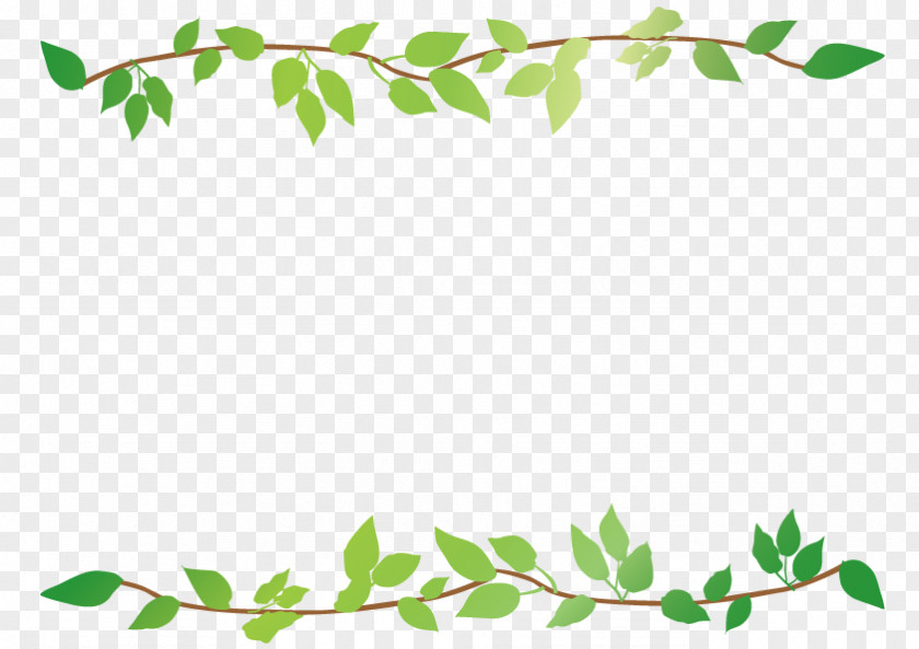 Leaf Frame Rectangular Download. PNG