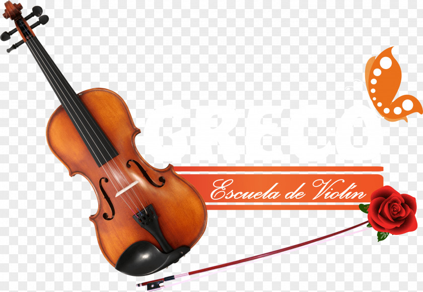 Violin Family Cello Viola Musical Instruments PNG