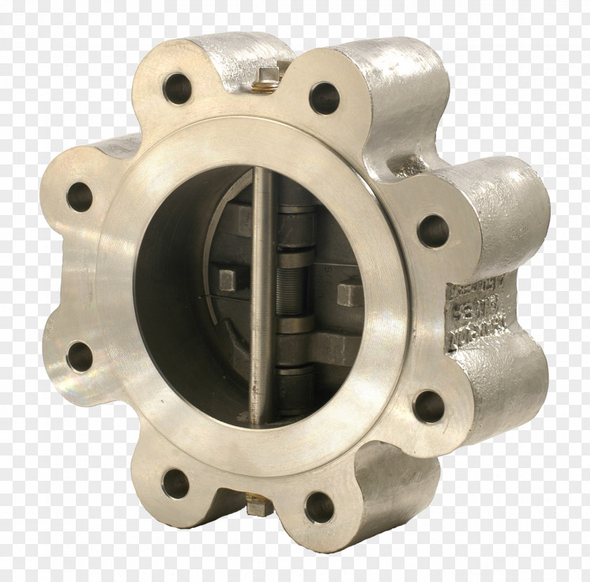Double Check Valve Flange Stainless Steel Alloy 20 PNG