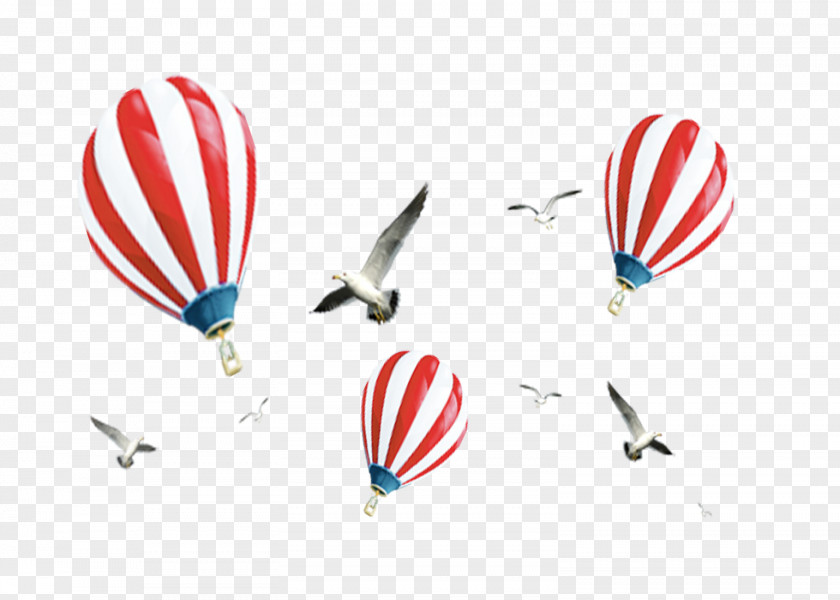 Hot Air Balloon Flight PNG