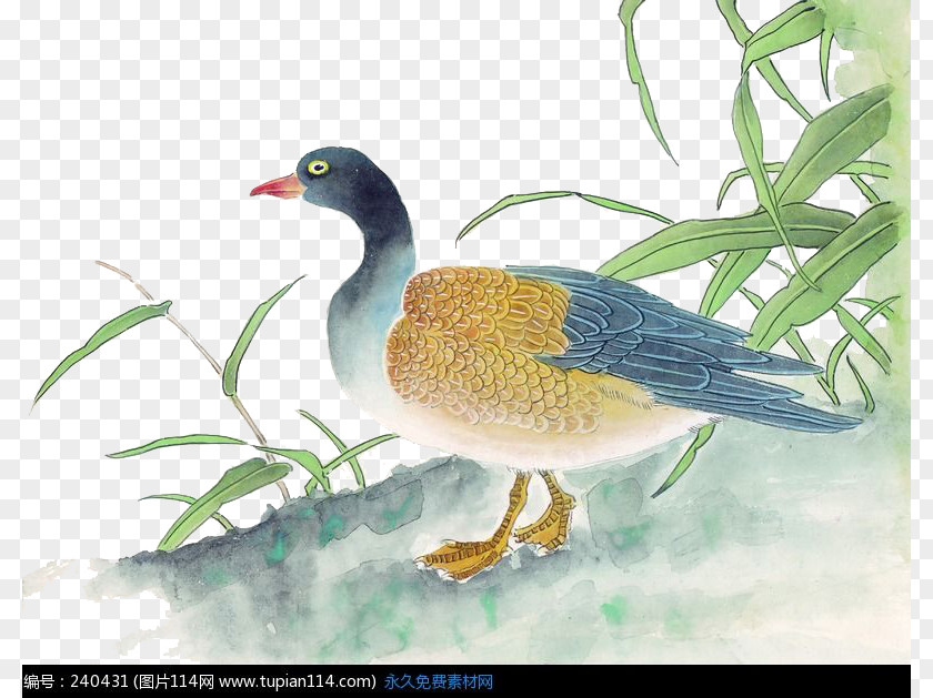 Pond Side Of The Ducks Duck Chinese Painting Gongbi Bird-and-flower PNG