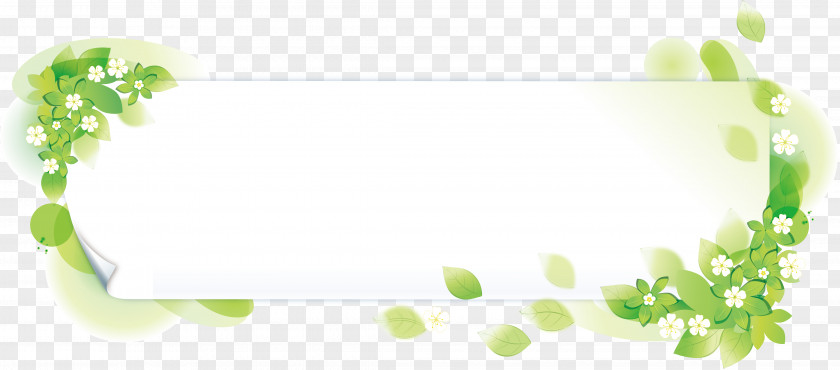 Text Background Plate PNG