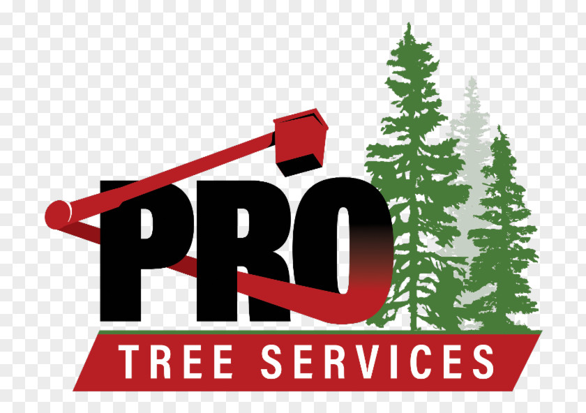 Christmas Tree Pro Services Burnaby Coquitlam PNG