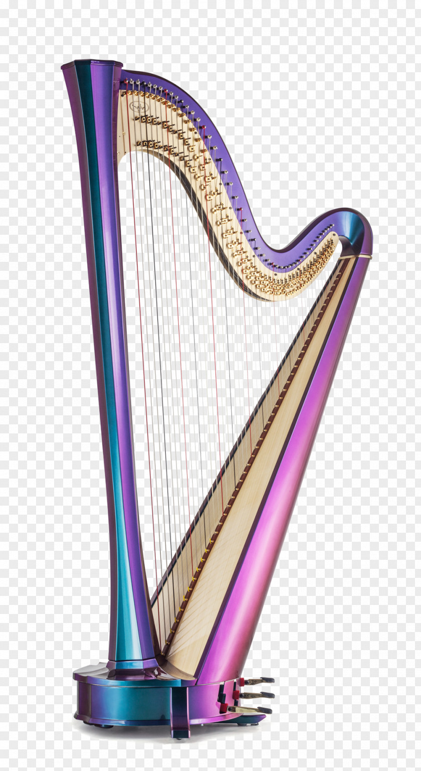 Harp Salvi Harps Pedal Musical Instruments PNG