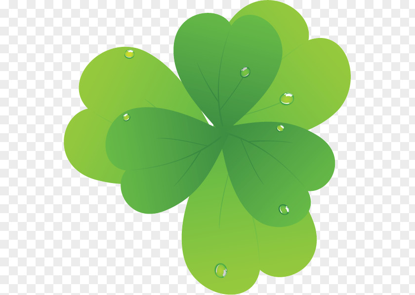 Shamrock PNG