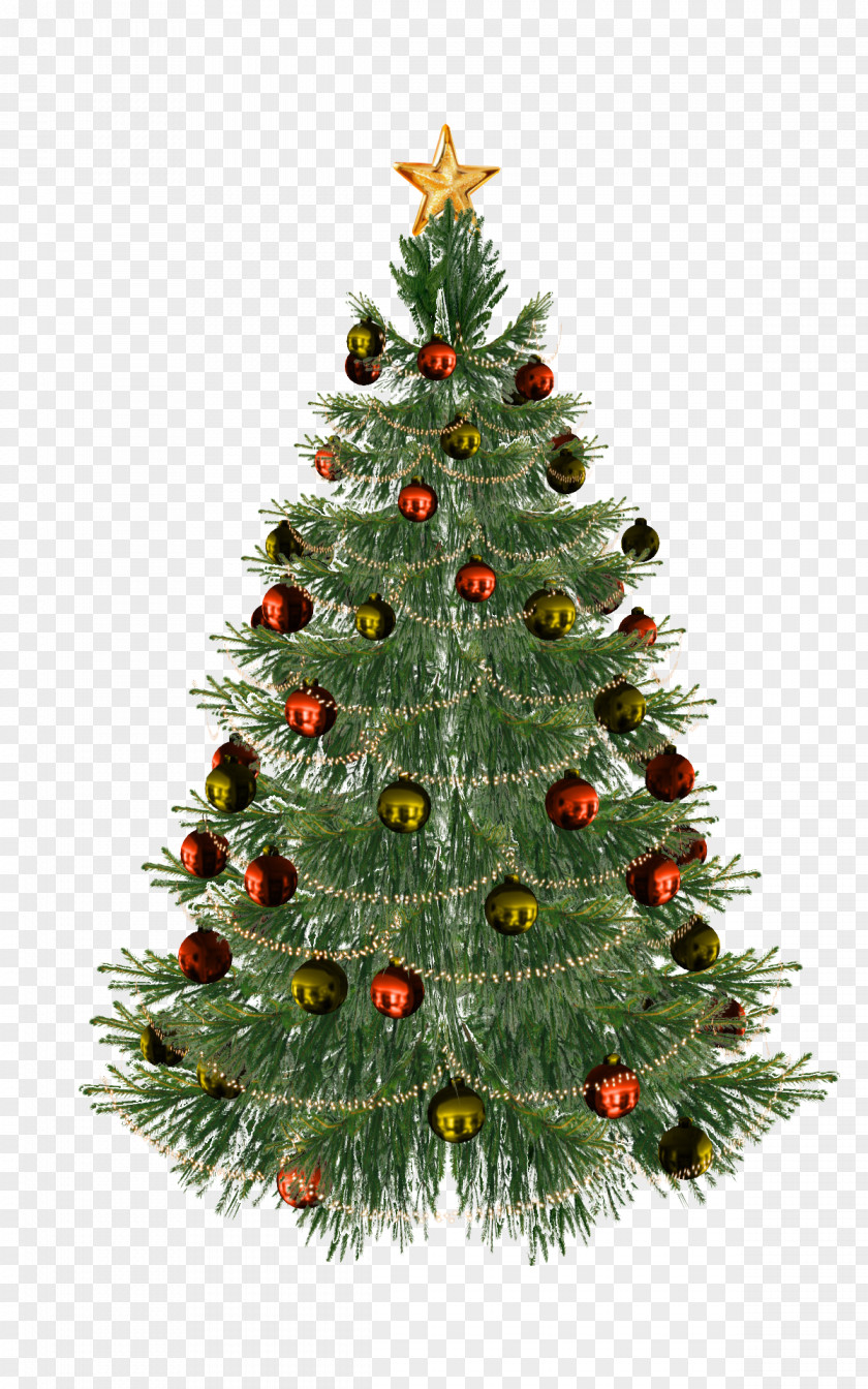 Stage Christmas Tree Card Clip Art PNG