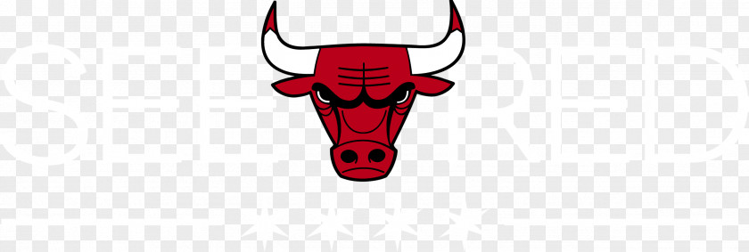 Chicago Bulls Photos Logo Text Pattern PNG