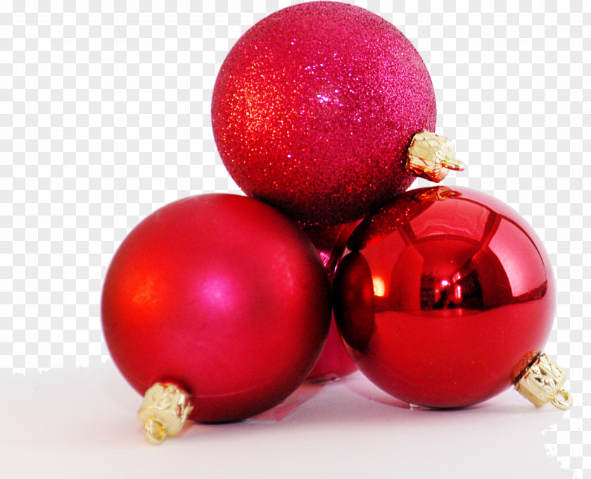 Christmas Fruit And Holiday Season Gift 25 December Ornament PNG