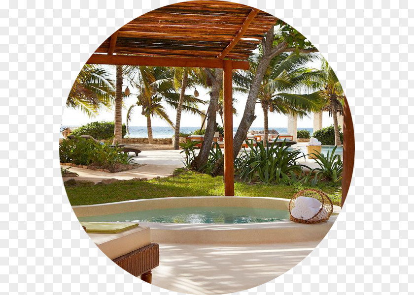 Hotel Viceroy Riviera Maya Cancún International Airport Resort Villa PNG