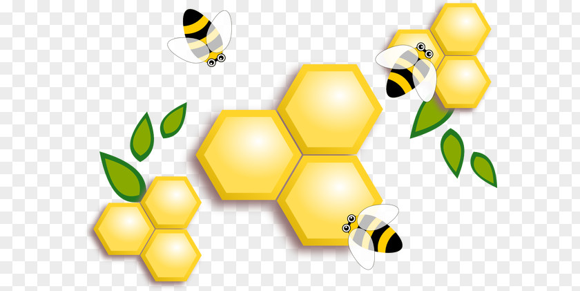 Bee Honey Honeycomb PNG
