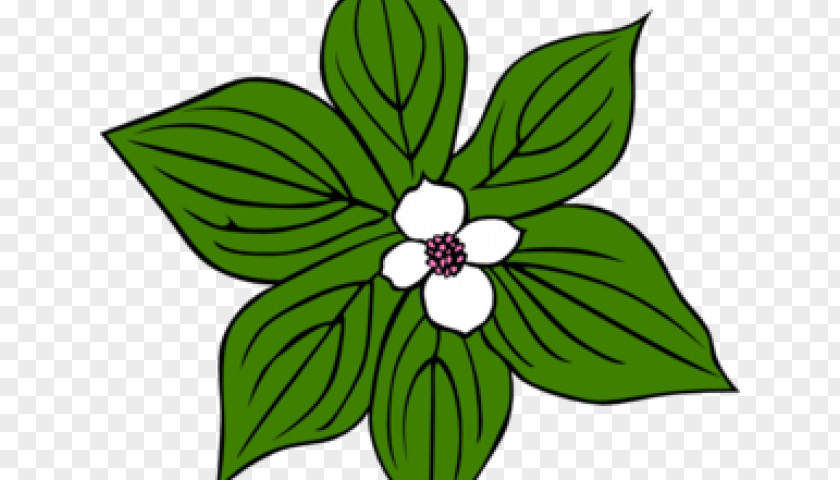 Blue Magnolia Flower Vector Graphics Clip Art Floral Design Petal PNG