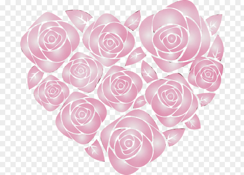 Cut Flowers Petal Garden Roses PNG