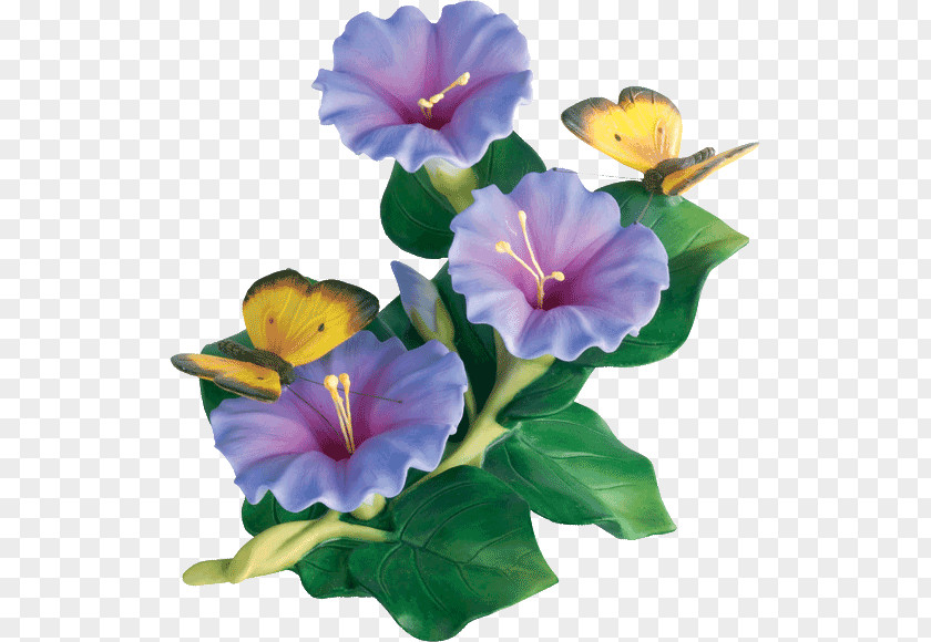 Flower Image Japanese Morning Glory Violet PNG