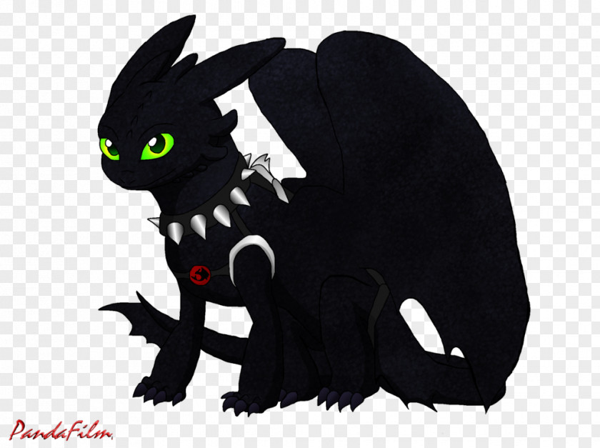 Kitten Black Cat Whiskers Darkness PNG