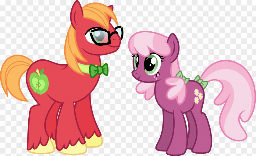 Matting Vector Cheerilee Big McIntosh Pony Pinkie Pie Rarity PNG