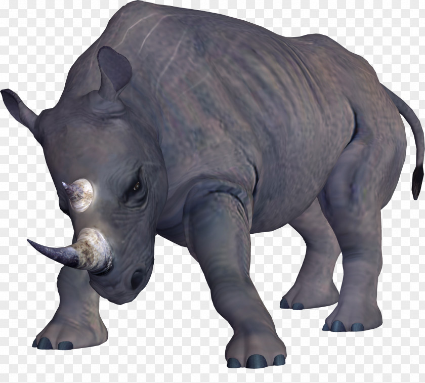 Poser Rhinoceros Indian Elephant DeviantArt Clip Art PNG