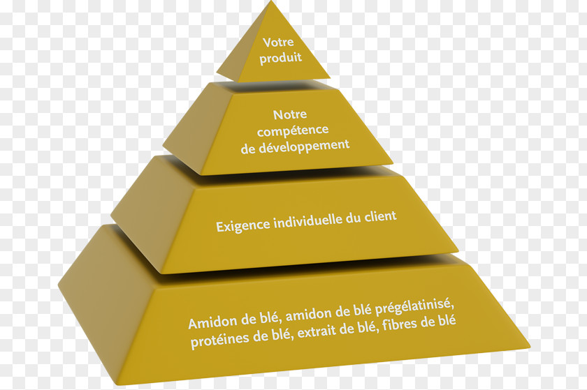 Technical Application Product Pyramid Triangle Innovation Customer PNG