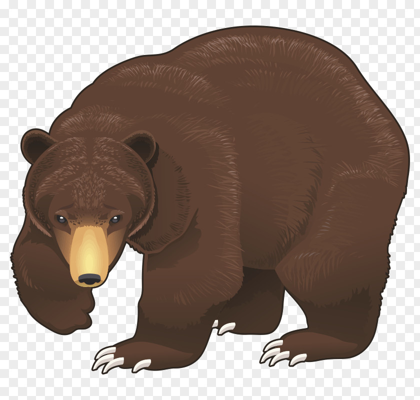 Bear Brown Clip Art PNG