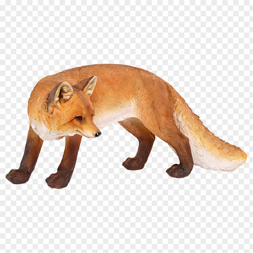 Fox Red Snout Terrestrial Animal PNG