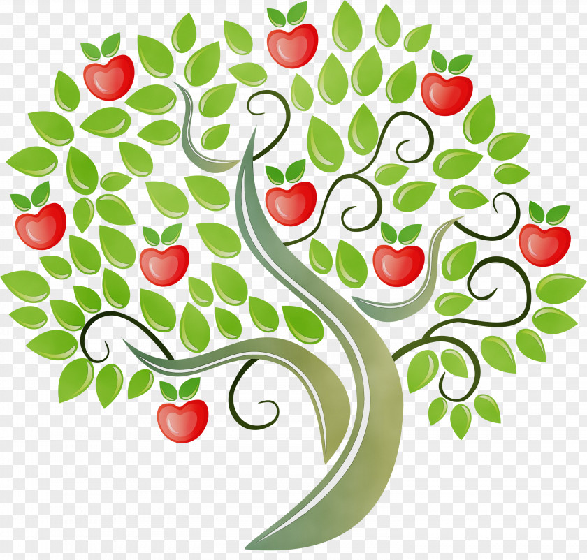 Tree Leaf Apple Fruit Apples PNG