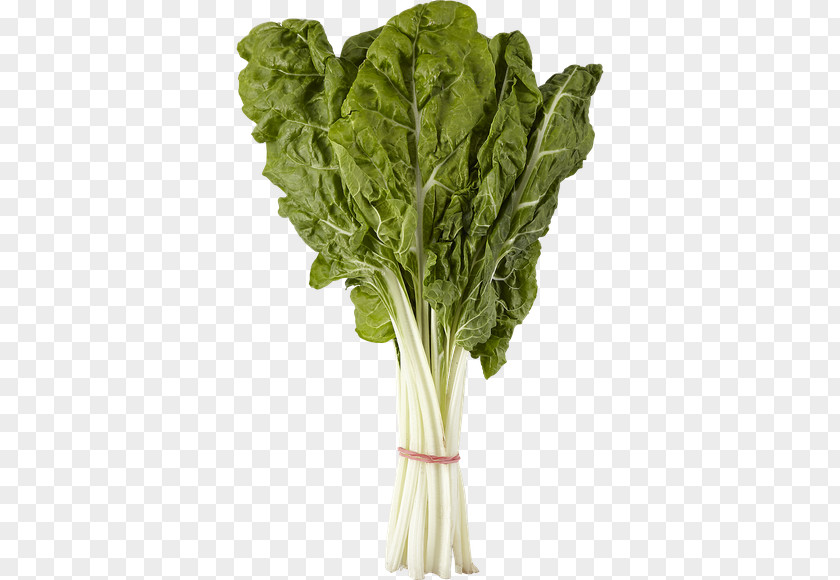 Vegetable Romaine Lettuce Chard Spinach Cruciferous Vegetables PNG