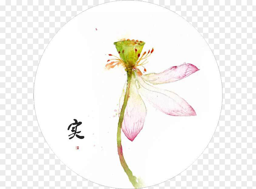 Watercolor Lotus Acuarela Creativa Painting Illustration PNG