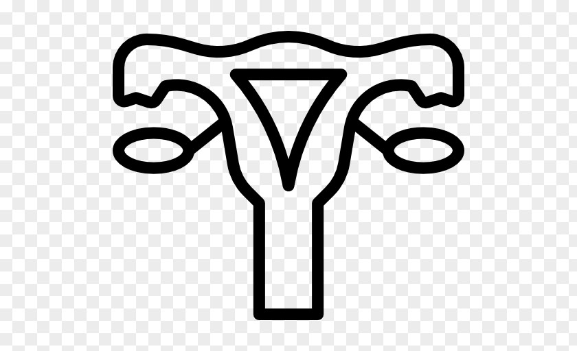 Woman Ovary Reproductive System Uterus Gynaecology Ovarian Cancer PNG